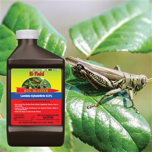 34695 Bug Blaster Lambda 32 oz lifestyle image